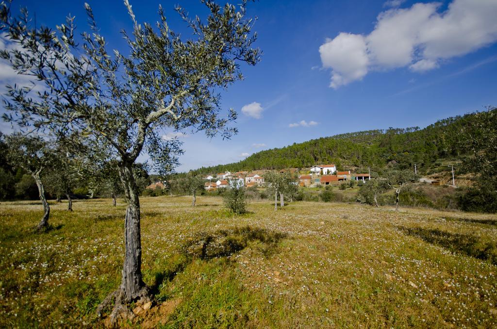 Xisto Sentido Villa Martim Branco Екстериор снимка